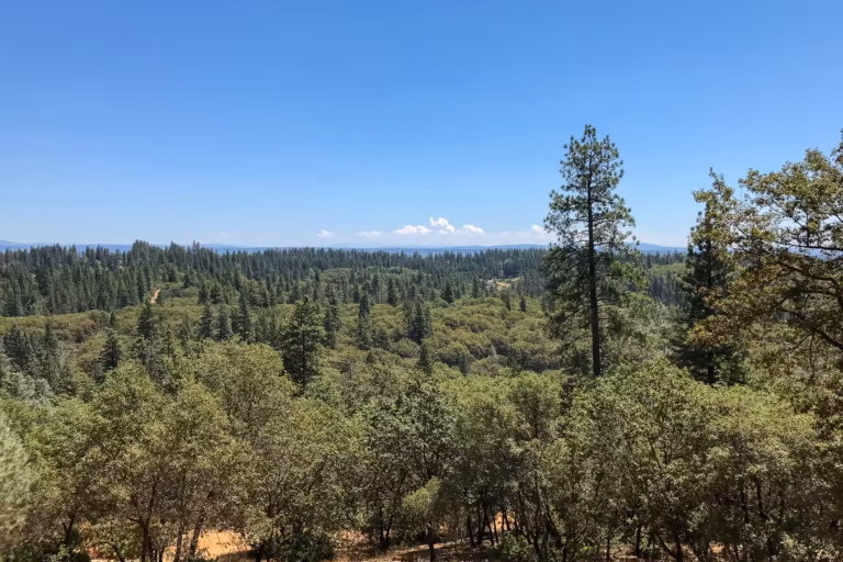 Vanishing edge pool construction site on a steep Colfax hillside overlooking the Sierra foothills