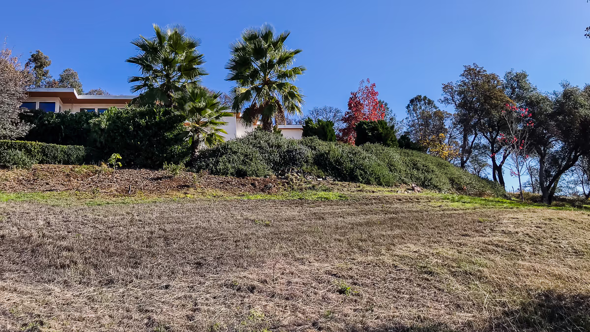 Auburn hillside property before construction — steep grade rising to the house with palm trees that appear in the finished vanishing edge pool design — Jim Chandler Pools
